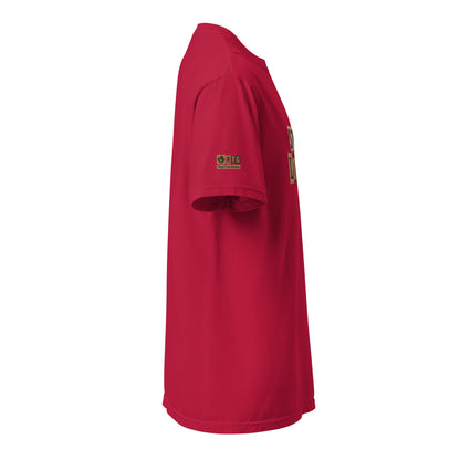 St. Louis-Unisex garment-dyed